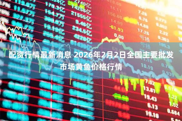 配资行情最新消息 2026年2月2日全国主要批发市场黄鱼价格行情