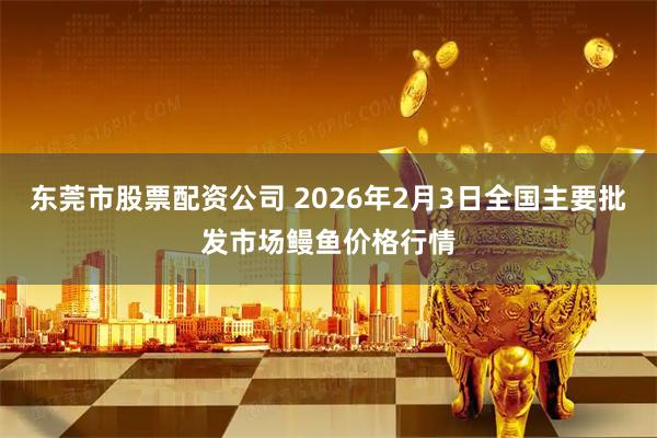 东莞市股票配资公司 2026年2月3日全国主要批发市场鳗鱼价格行情