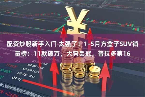 配资炒股新手入门 太强了！1-5月方盒子SUV销量榜：11款破万，大狗丢冠，普拉多第16